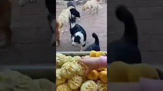 Nom