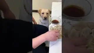 А мне? С соусом!