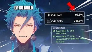 So I Speedrun Jiyan Echo Build