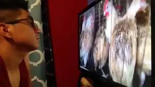 #14 Realkevinking react to WHY Vegetarian WARNING GRAPHIC TRUTH Factory Farm MEAT Fish