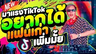 #เพลงฮิตtiktok ★อยากได้แฟนเก่าเพิ่มมั้ย★ กำลังมาแรงในตอนนี้ 🔥 | DANCETAMJAi