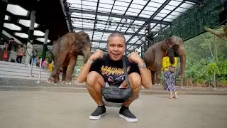Mangkage Taman Safari Puncak Bogor