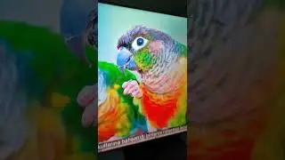 TV Arkası LED aydınlatma tamam/ 40 inch 'e kadar yeterli olacaktır
