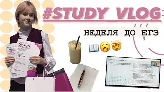 STUDY VLOG 🥱 // готовлюсь к ЕГЭ и схожу с ума…..