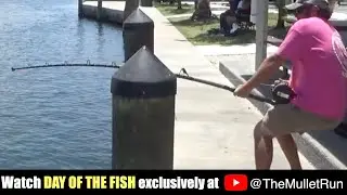 EPIC Encounter: 200lb Giant Stingray Shatters 200lb Test Fishing Line! 😱🐟