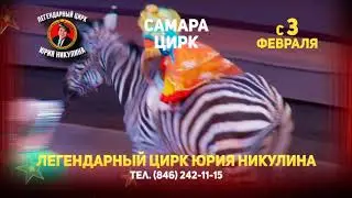 Цирк Никулина - Самара