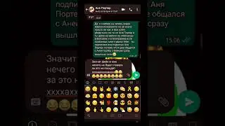 Переписка с Фейкам Ани Портер известной видео блогерши.