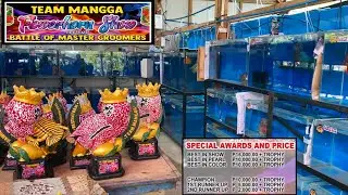 Flowerhorn show in Mindanao | 120K guaranteed prices