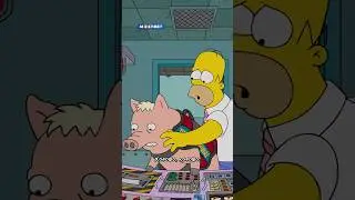Свинопука прихлопнули как букашку😢 
