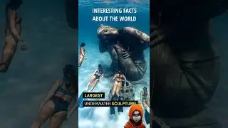 Intresting Facts About The World! 🌎 #shorts