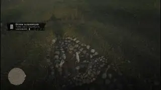 Red Dead Redemption 2_карта сокровищь змеинная долина 2