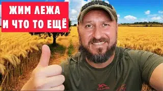 БОДИБИЛДИНГ ДОМА: ЖИМ ЛЁЖА, УПРАЖНЕНИЯ НА БИЦЕПС И ДЕЛЬТЫ.