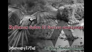 Reflexion: Incendio en la Amazonas #PrayForAmazonas
