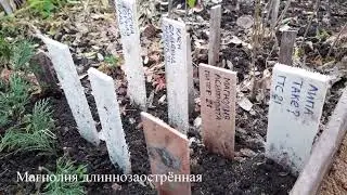 Посев в теплице осень 2021