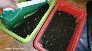 ТЫСЯЧИ ЧЕРВЕЙ ЗА НЕСКОЛЬКО МЕСЯЦЕВ!!!