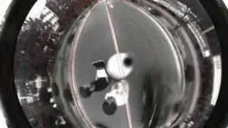 catadioptric vision