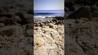 [VERY SHORT] French wild beach