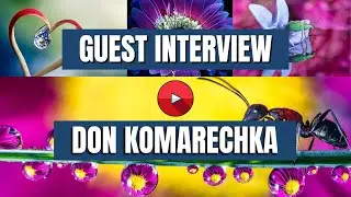 Guest Interview with Don Komarechka