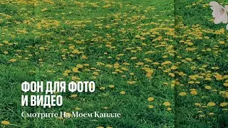 Фон для фото и видео. Промо