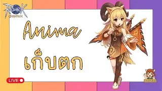 เก็บตก Anima กันจ้า By Acana| Ragnarok Origin Global : ROO EP.229