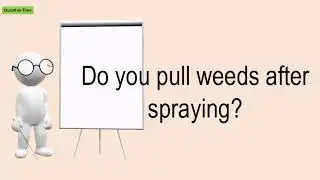 Do You Pull Weeds After Spraying?