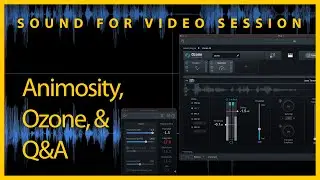 Sound for Video Session — Animosity, Ozone, & Q&A