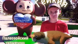 Гейкия — приуныла из-за названия...