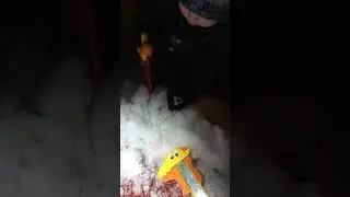 яблоко от яблони недалеко падает 