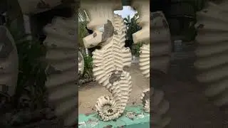 Seahorses of Utila