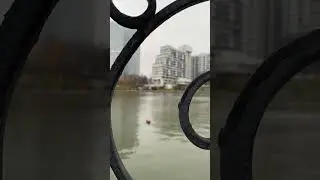 Микрорайон Северное Чертаново #москва #кудасходить #осень