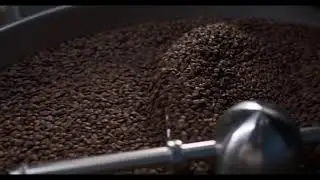 chocolate making