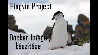 Pingvin Project 05 - Docker Image készítése