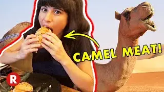 I ate a CAMEL burger in Abu Dhabi