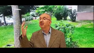 Insana teşekkür etmeyen , Allahu Teala ya  şükür etmiş olmaz .