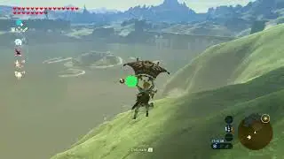Zelda: BotW Me:  Bomb jump?  Being X:  ...