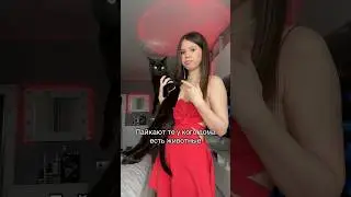 Какие животные дома у вас?) #олесямалыш