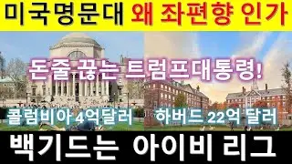 MS411 미국 명문대 좌편향인 이유와 돈줄 끊는 트럼프행정부.