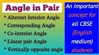 Angle in pair || Alternate Interior Angles Corresponding Angles Co-interior Angles  Linear pair ||