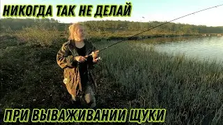 ВЕЧЕРОМ ЗА ЩУКОЙ. ЖЕНА МЕНЯ ОПЯТЬ ОБЛОВИЛА.