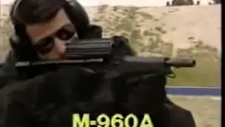 Calico Guns