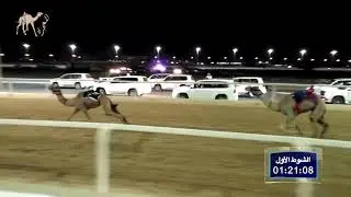 الشوط الأول: بكار مشتركات: وعد لـ طالب راشد حمد المري - التوقيت:  2.17.13