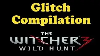 Glitch Compilation - The Witcher 3
