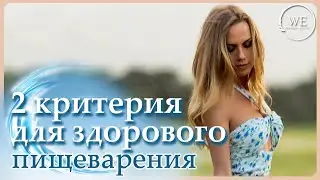 Как влияет термически обработанная и сырая пища на пищеварение?