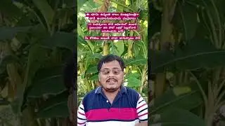 అధికారం కోసం రెండు పార్టీలు వెంపర్లాడుతున్నాయి, మరి ప్రజా సమస్యలను ఎందుకు గాలికి వదిలేసారు?