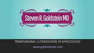 Gynecologist in Manhattan for Transvaginal Ultrasounds for abnormal uterine bleeding