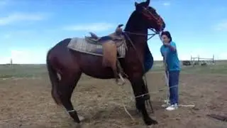 LAKOTA VS BEAST, Avatar On The Rez