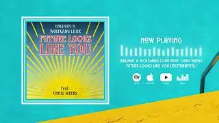 Balduin & Wolfgang Lohr feat. Chris Weeks - Future Looks Like You (Instrumental)