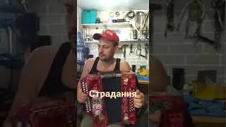 ремонт гармоней, баянов, аккордеонов