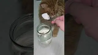 Любой цветок сразу зацветет пышной шапкой #цветы #сад
