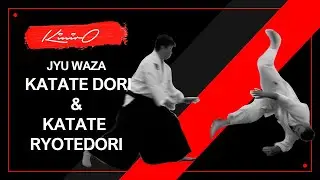 合気道 Aikido  -  Jyu Waza Katate dori & katate ryote dori